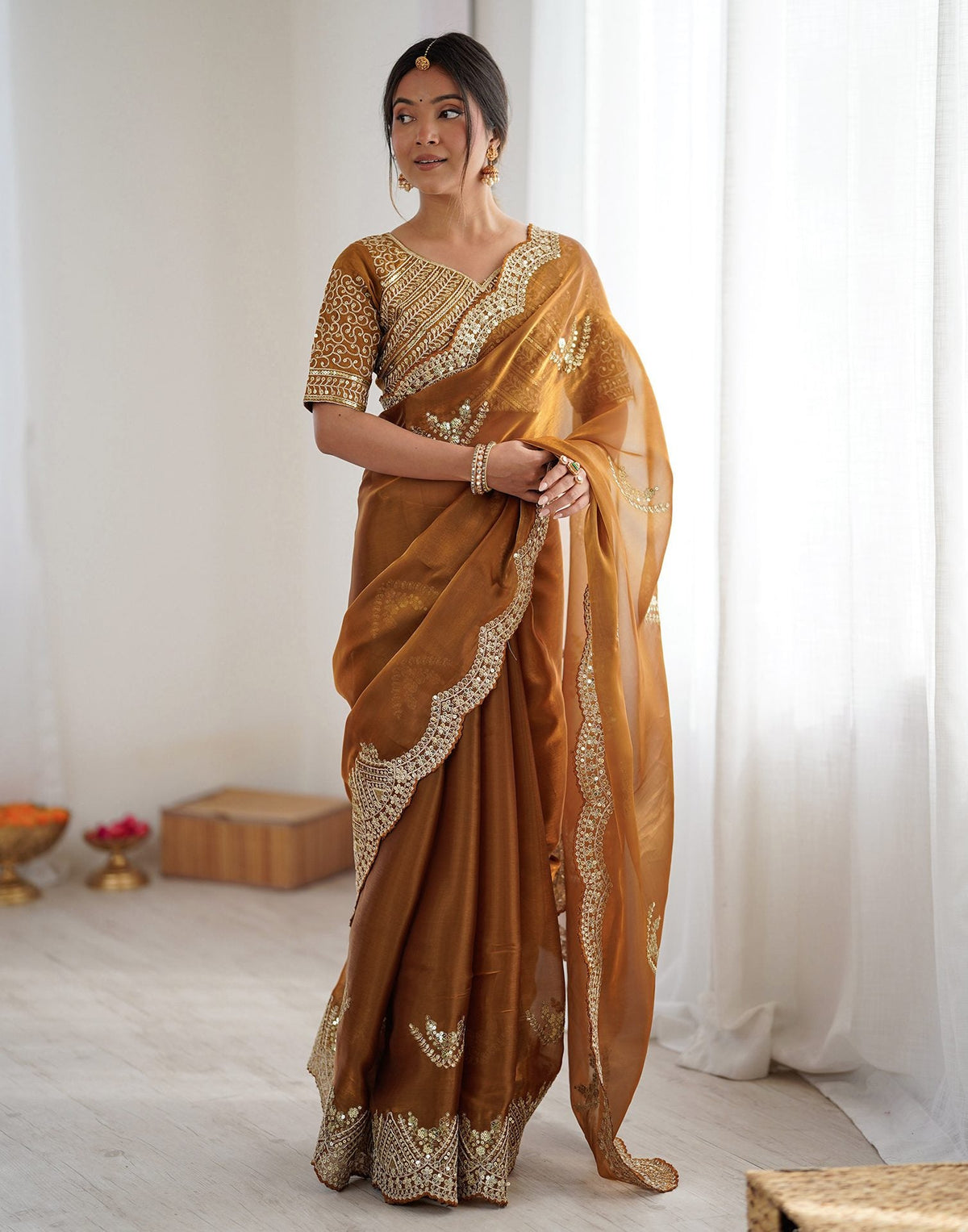Brown Tissue Silk Sequence Embroidery Saree
