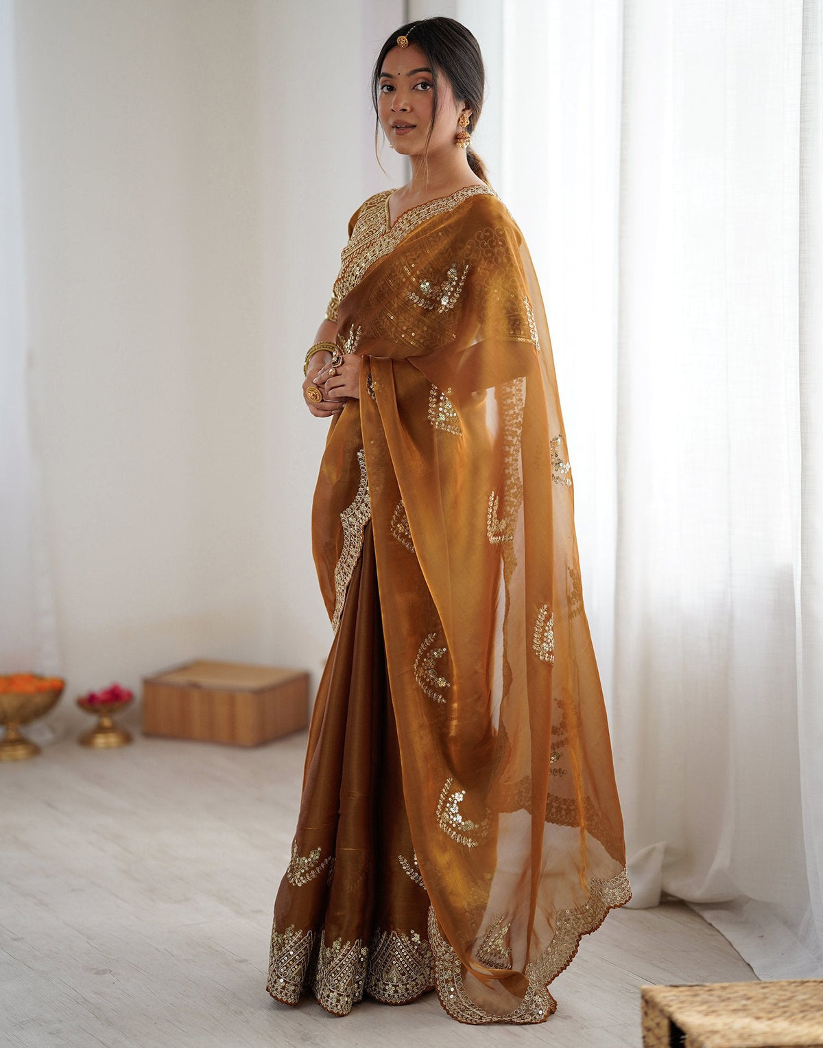 Brown Tissue Silk Sequence Embroidery Saree