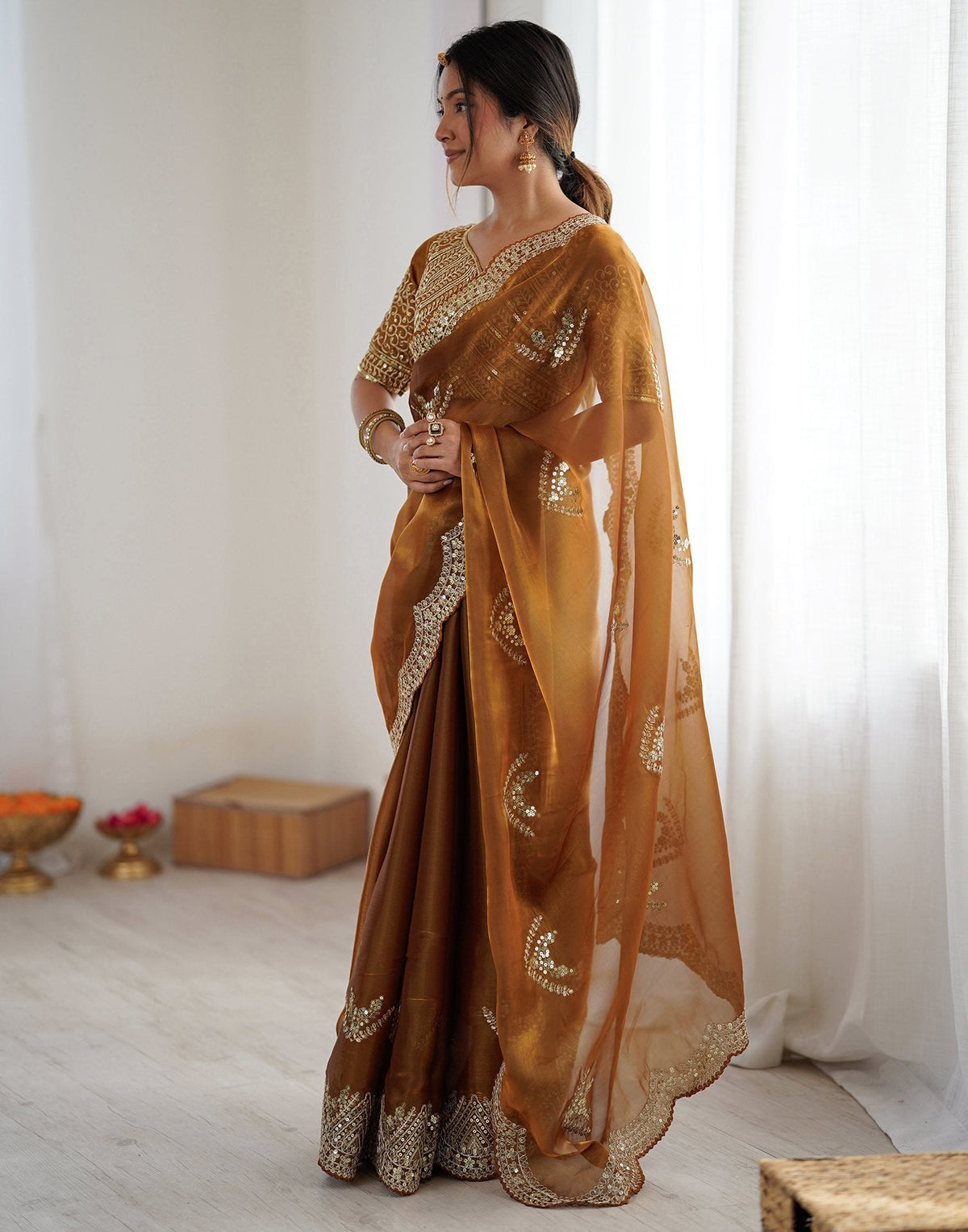 Brown Tissue Silk Sequence Embroidery Saree