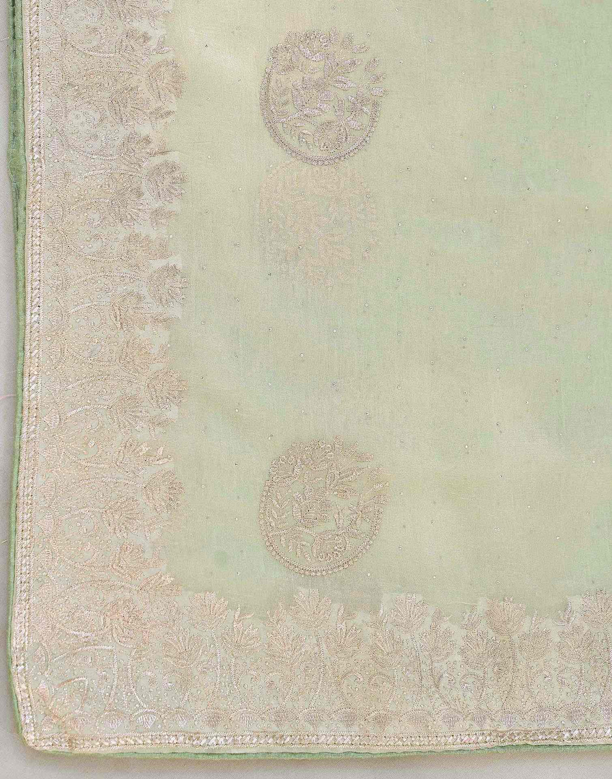 Mint Green Shimmer Embroidery Embellished Saree
